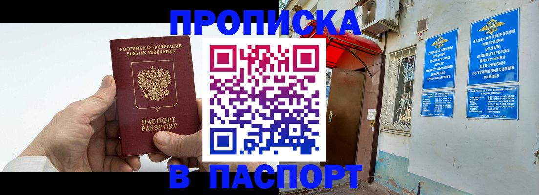 временная регистрация поиск в Майкопе